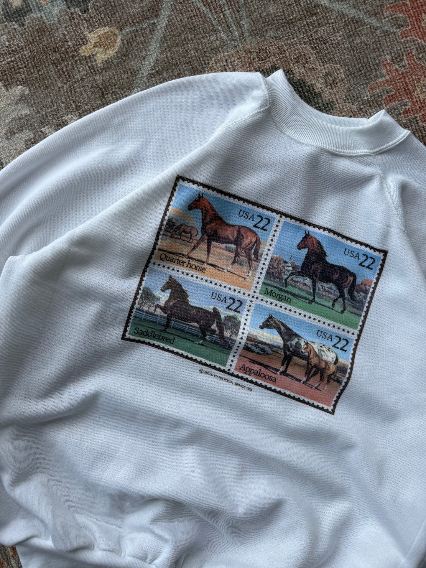 Horse Crew - XL